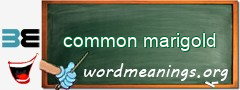 WordMeaning blackboard for common marigold